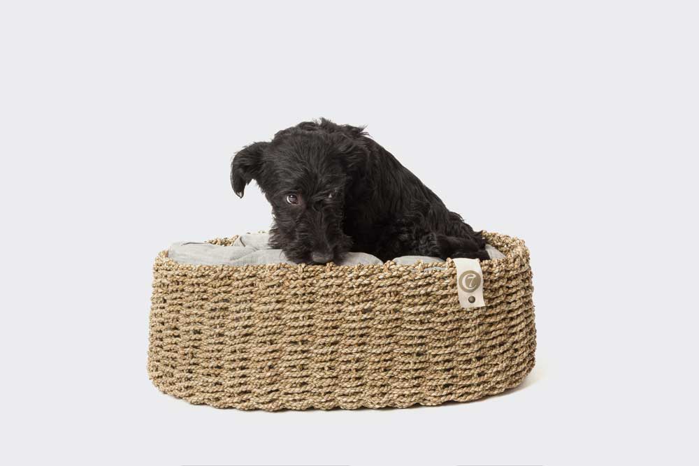 Dog Baskets Comfortable and Stylish Dog Beds 8 Paws 8 Paws