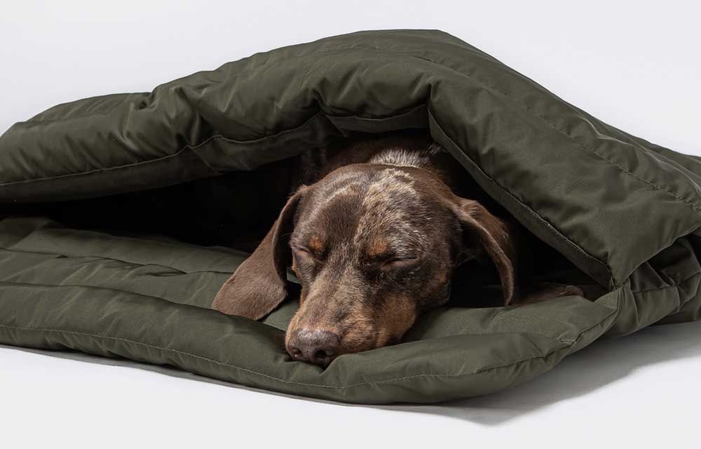 Travel Beds For Dogs 8 Paws