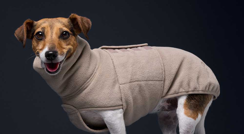 Winter Coats For Dogs