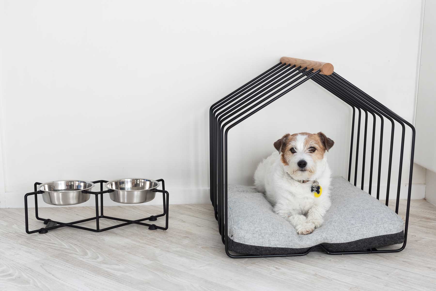 Housing For Dogs