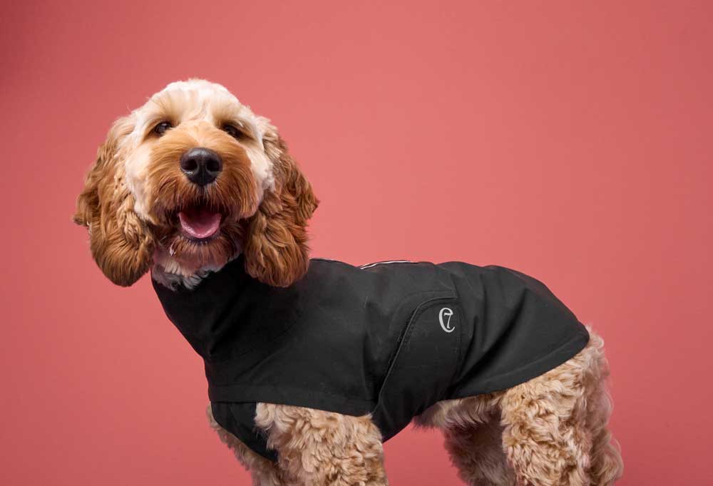 Raincoats For Dogs