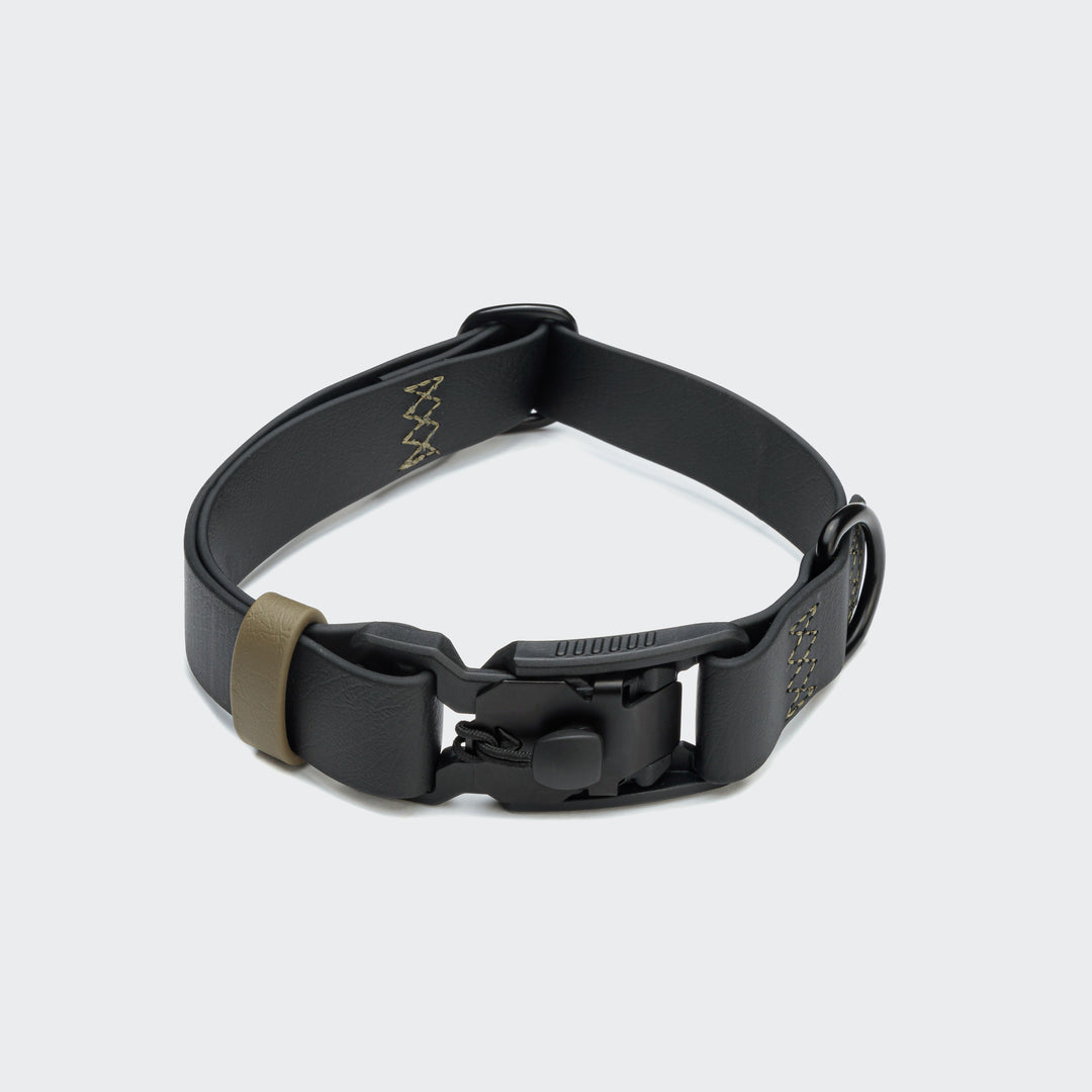 Dog Collar BioThane Ipamema Black - Olive from Cloud 7