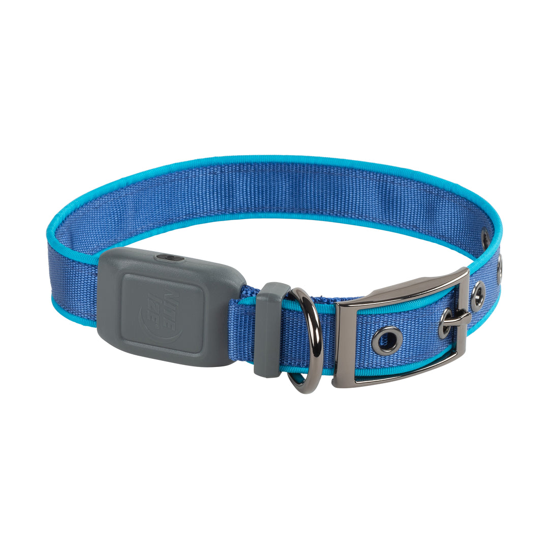 Nite Dog Rechargeable LED Collar - Blue