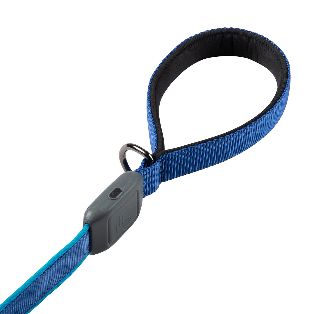 Nite Dog Rechargeable LED Leash - Blue