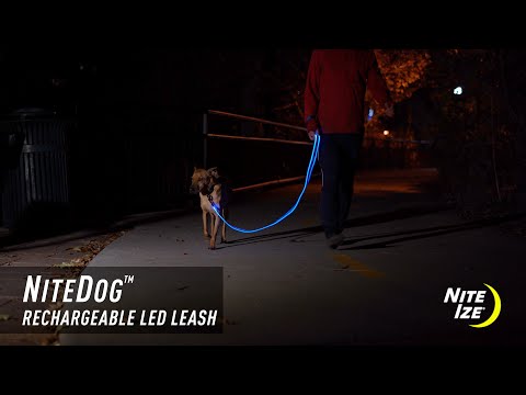 Nite Dog Rechargeable LED Leash - Blue