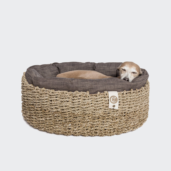 Dog Basket Lazy Maple from Cloud 7