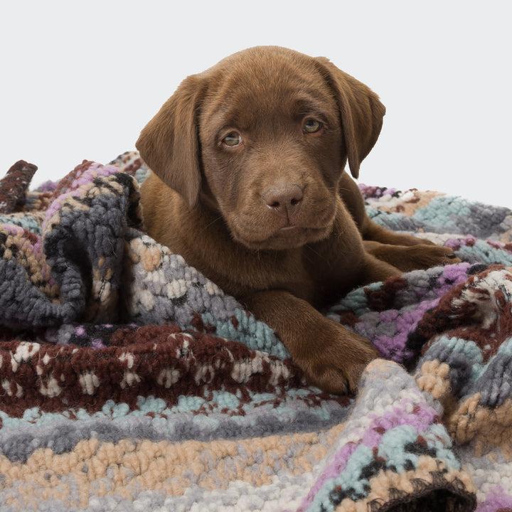 Woodstock Blanket from Cloud 7