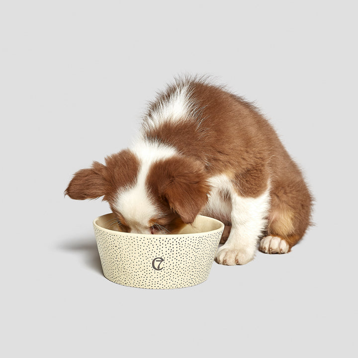 Dog Bowl Yoji Creme / Dots from Cloud 7