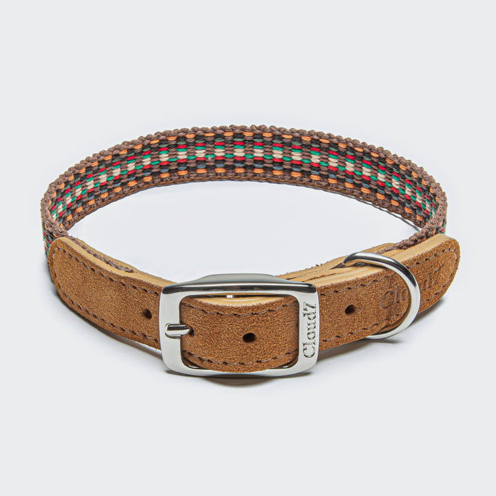 Prater Dog Collar in Sunset from Cloud 7