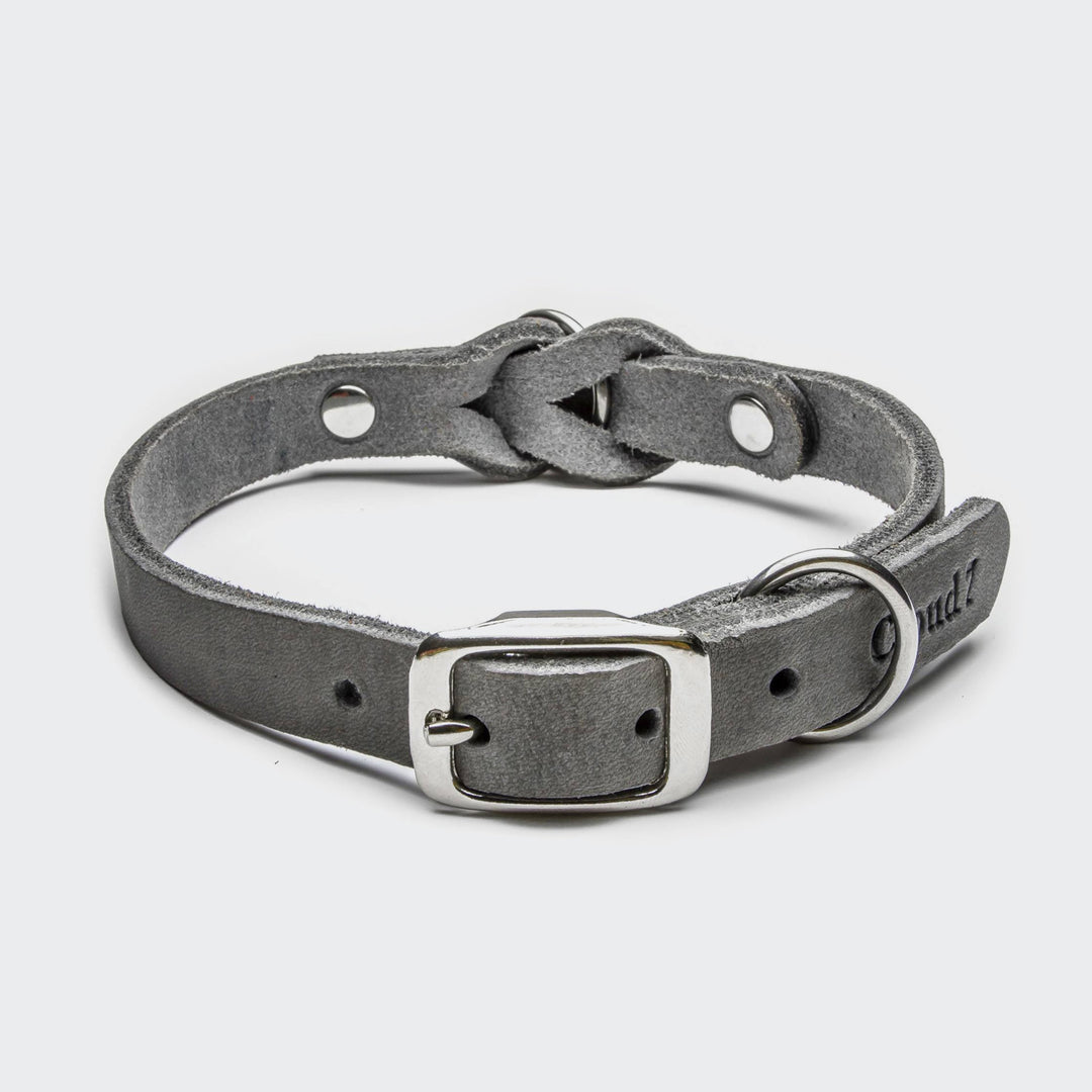 Riverside Park Dog Collar from Cloud 7