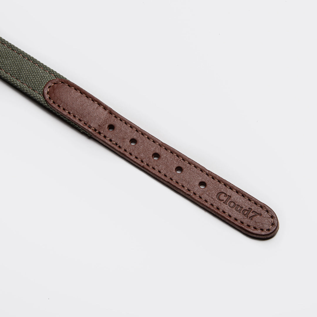 Tivoli Dog Collar in Olive from Cloud 7