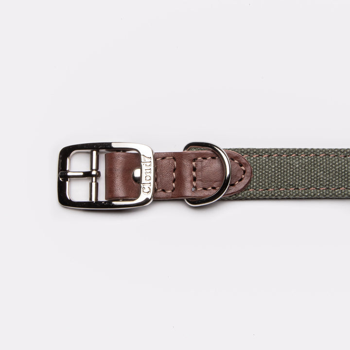 Tivoli Dog Collar in Olive from Cloud 7