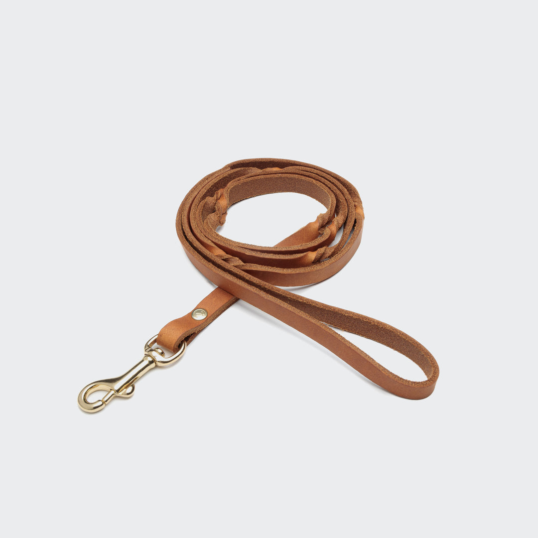 Dog Leash Riverlino with hand loop Camel Gold from Cloud 7