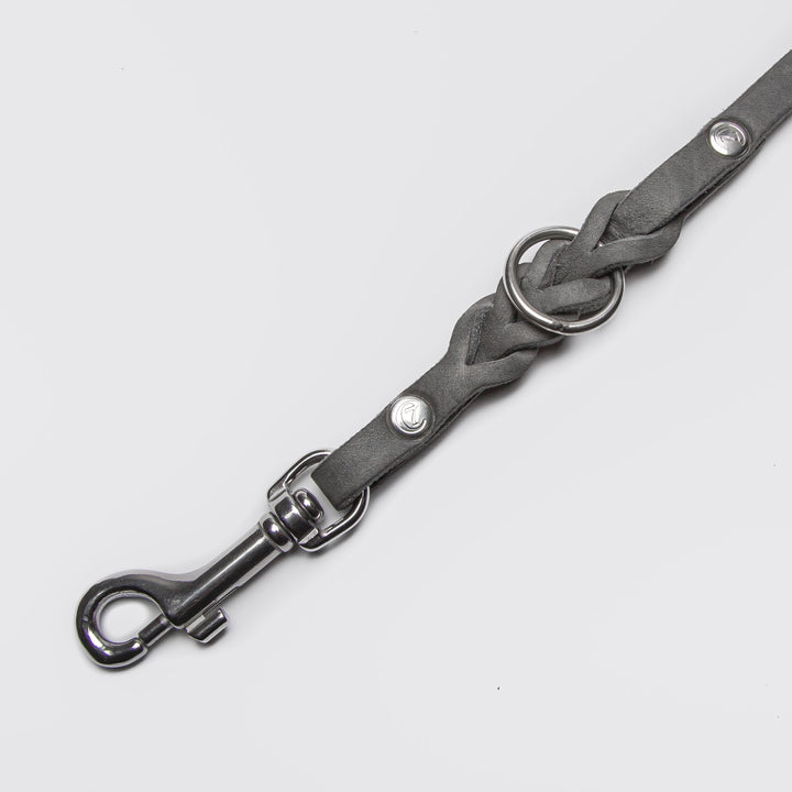 Riverside Park Leash from Cloud 7