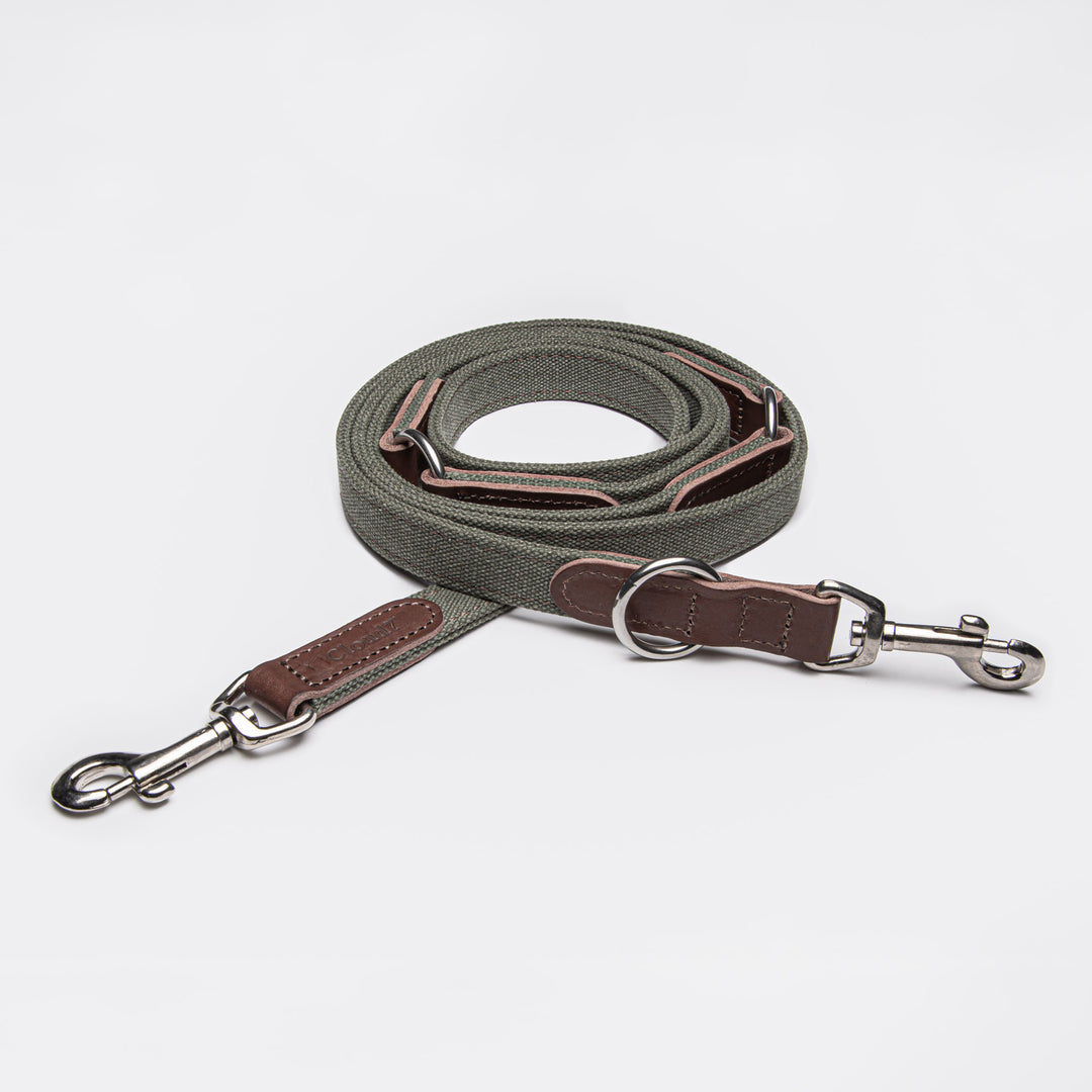 Tivoli Dog Leash in Olive from Cloud 7