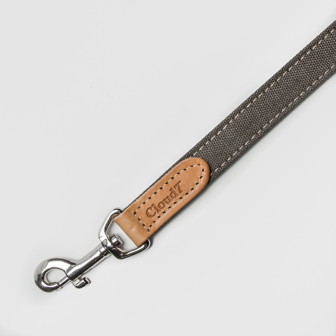 Tivoli Dog Leash in Greige from Cloud 7