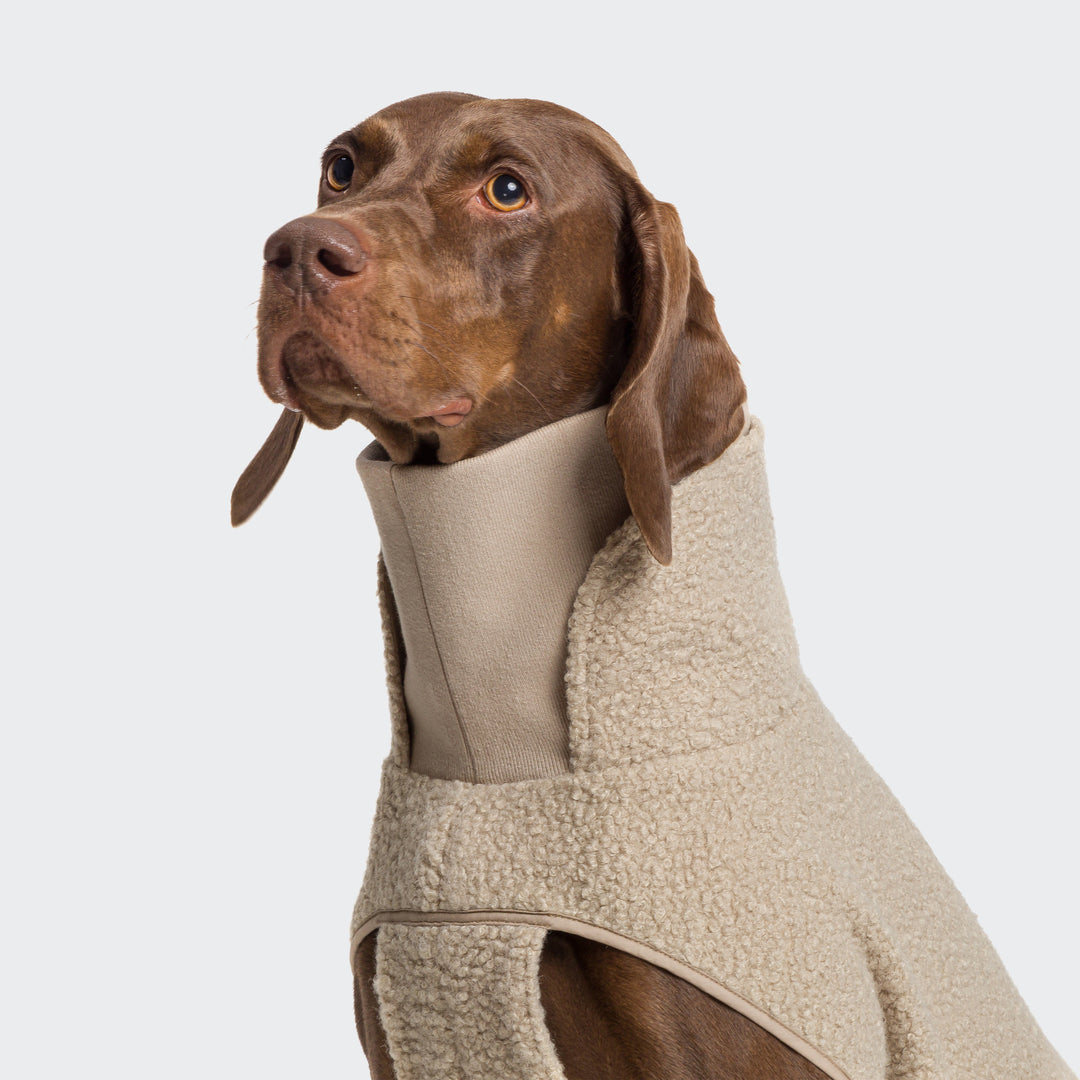 Dog Sweater Gotland Beige from Cloud 7