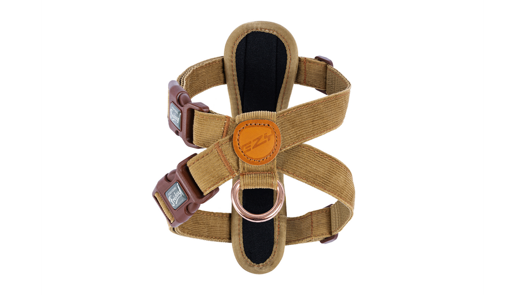 Ezy Dog Harness in Corduroy