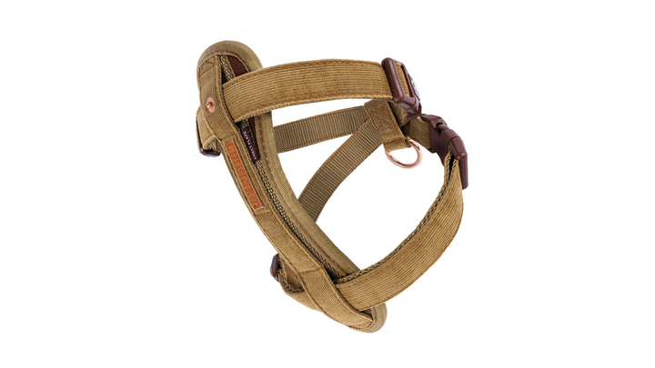 Ezy Dog Harness in Corduroy