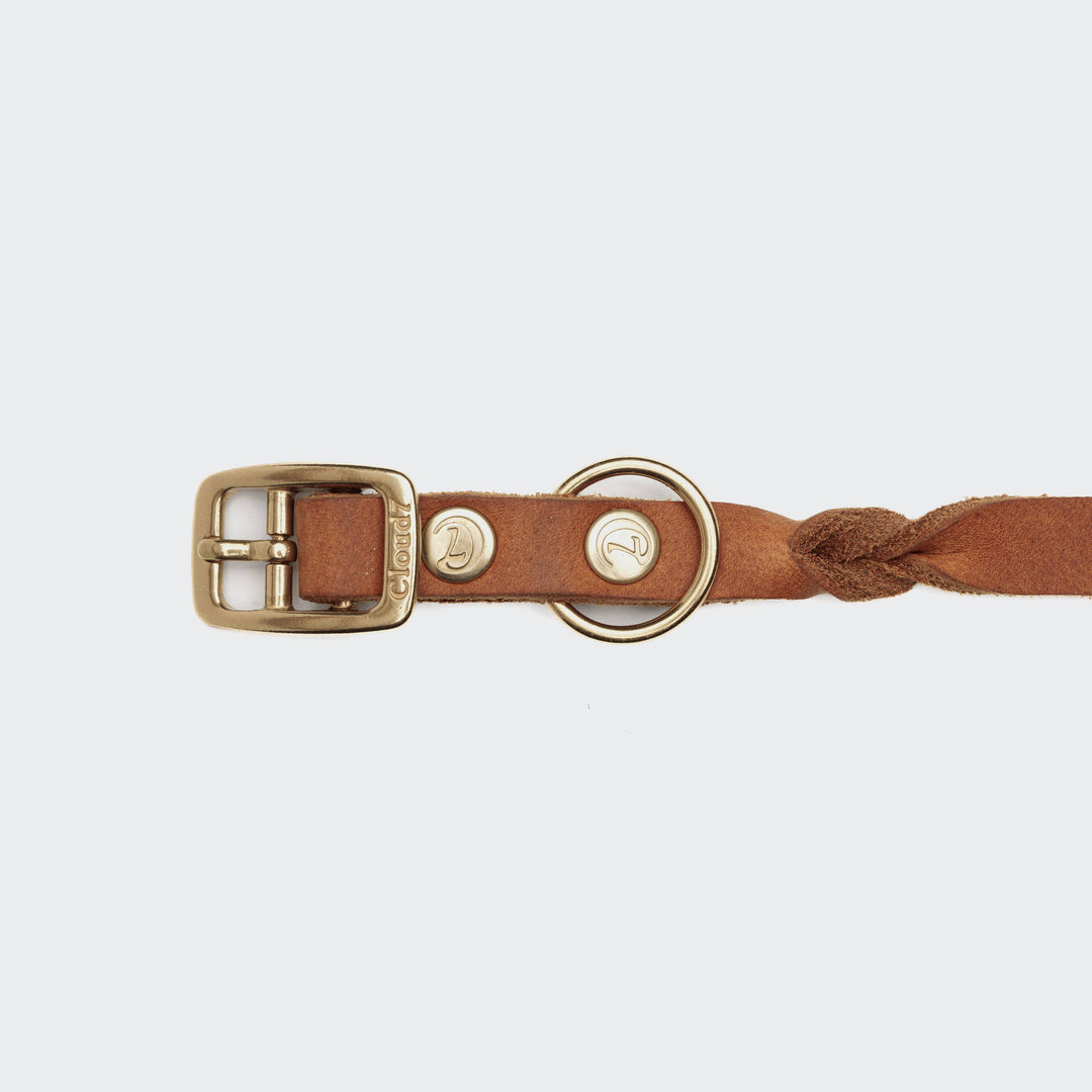 Dog collar Riverlino Camel Gold from Cloud 7