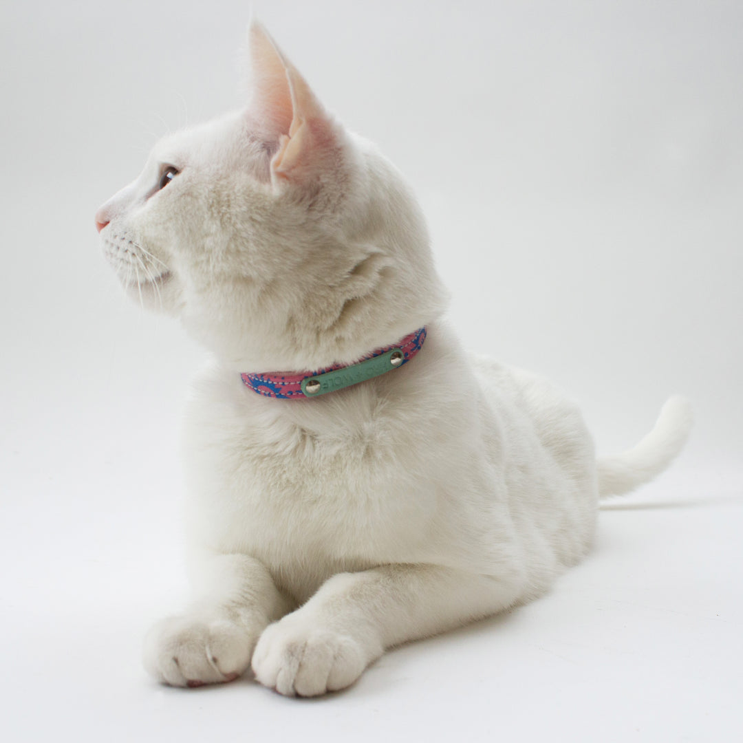 Nebula Cat Collar by Hiro + Wolf