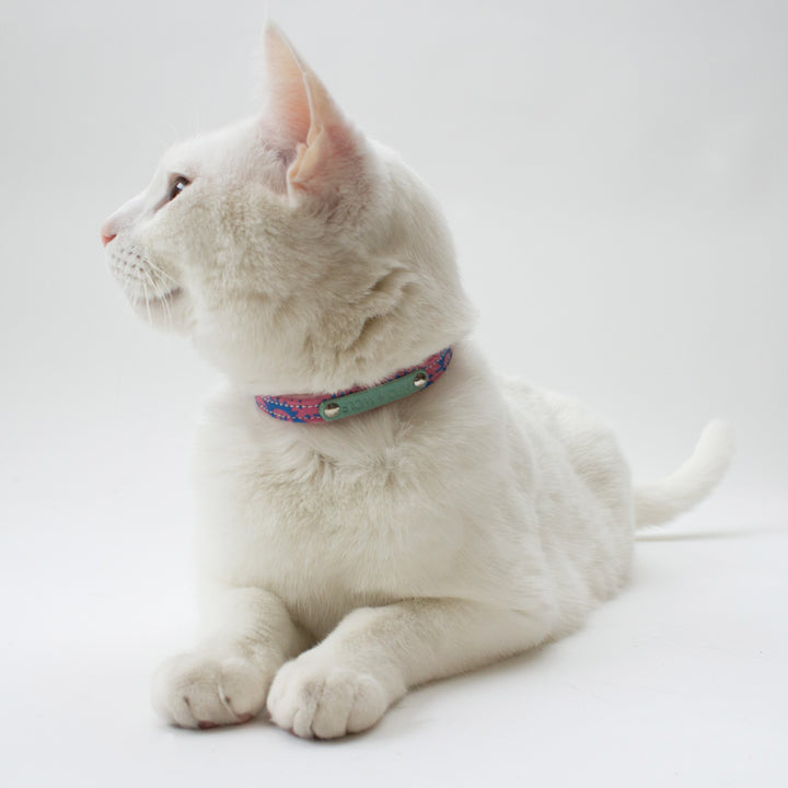 Nebula Cat Collar by Hiro + Wolf